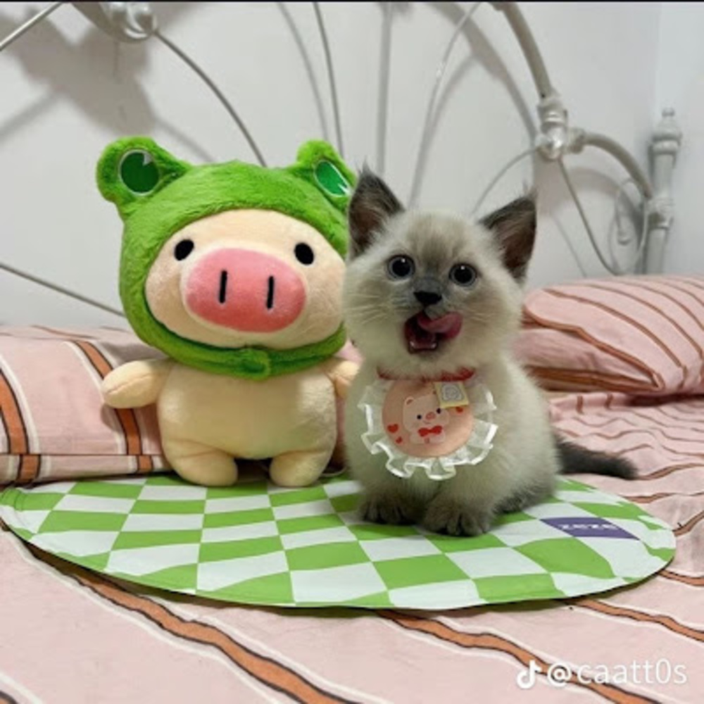 Meet your Posher, Luv._me._.